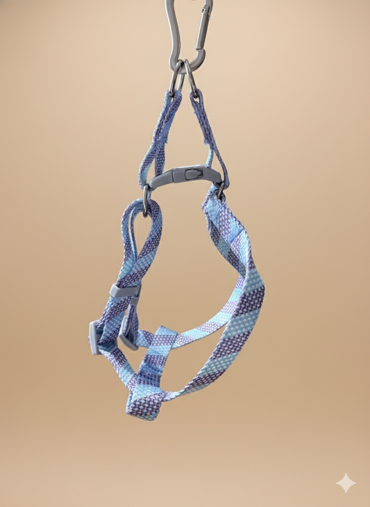 Arnés con correa para mascota – ligero y ajustable